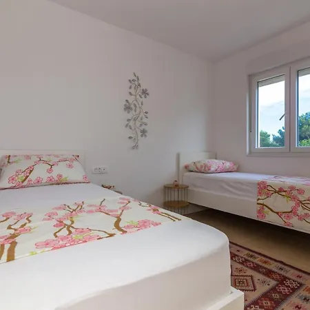 Апартаменты Kristal Живогошче